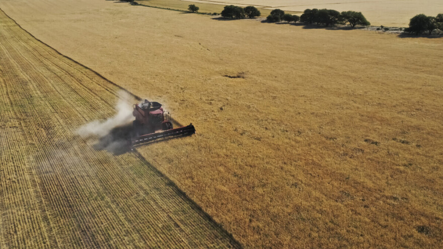 Do kraja sezone Rusija će postati svjetski lider u izvozu ječma?