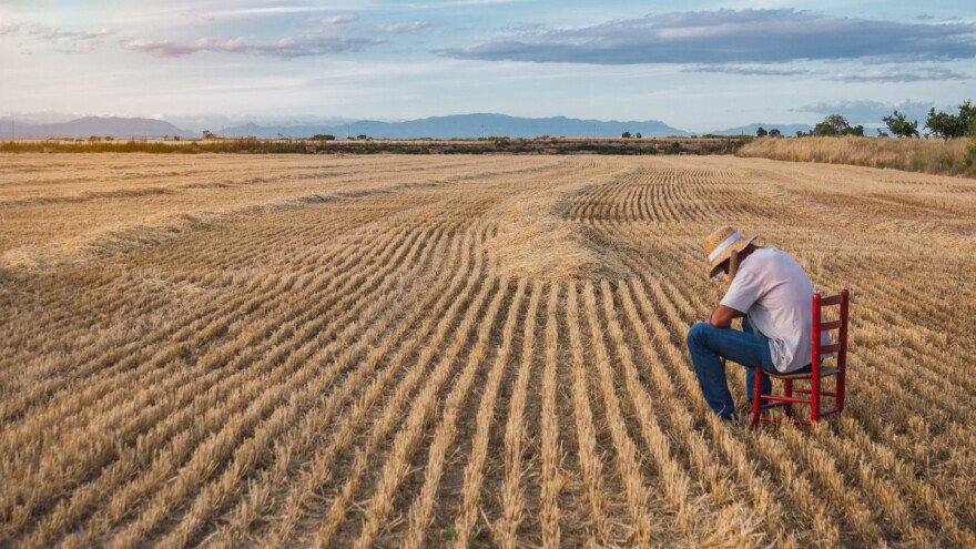 Na visoke cene i rat "nakalemila" se i suša - šta je globalno obežilo 2022.?