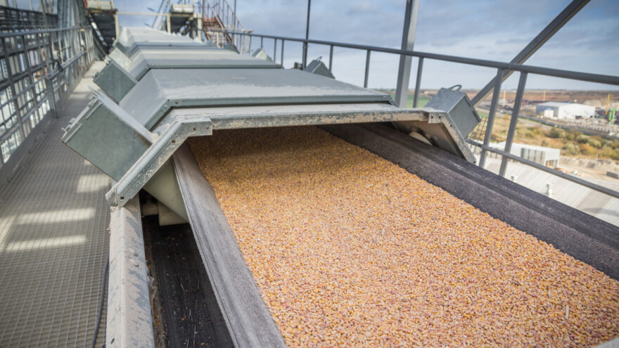 Rast cena na Produktnoj berzi: Kako je trgovan kukuruz, a kako pšenica?