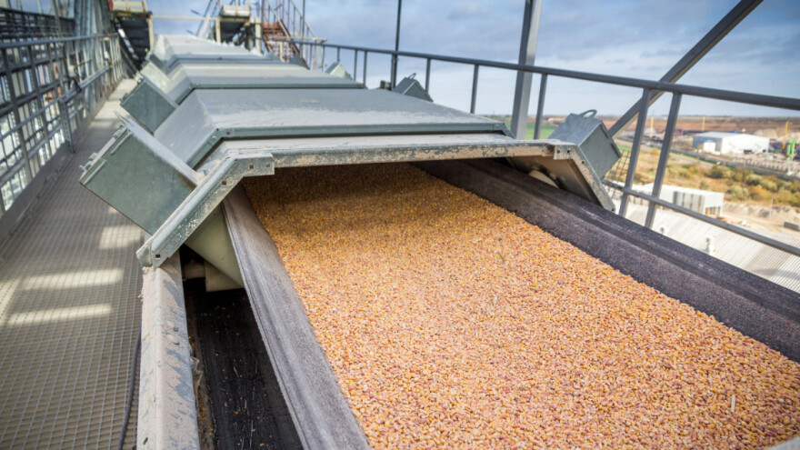 Raste cijena kukuruza: Slijedi li nestašica?