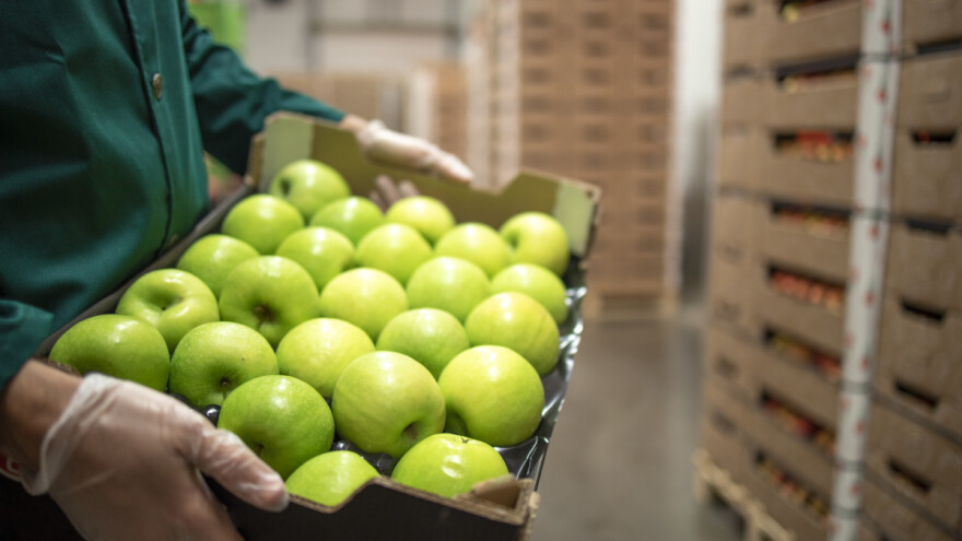 Na koje načine možete da čuvate voće nakon berbe?