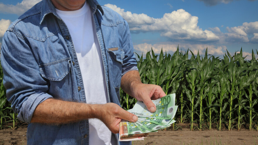 Kako se trgovalo u EU - manje kukuruza iz Ukrajine i Srbije