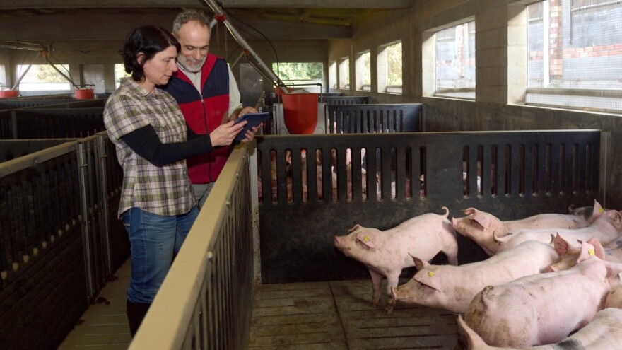 Osječko-baranjska županija uvela nove mjere potpora poljoprivrednicima