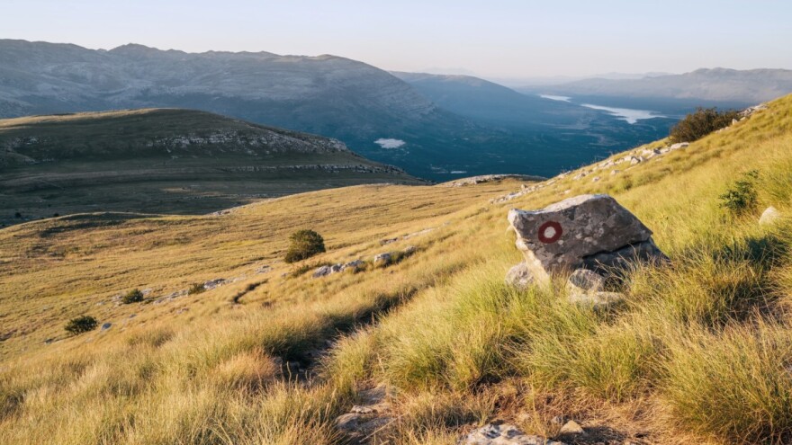 Šest stočara dobilo 30.000 eura za nabavku magaraca i mula, cilj je obnova Dinare