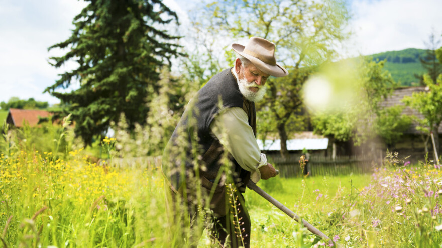 Šta znači biti domaćin?