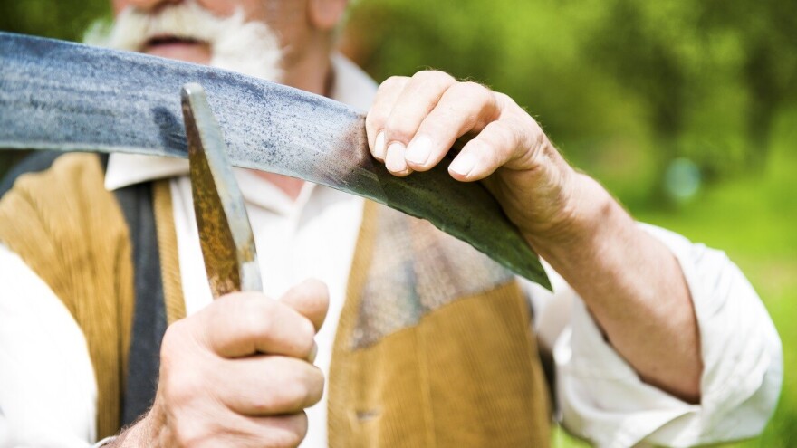 Vojvođanski kosci čuvaju stare običaje