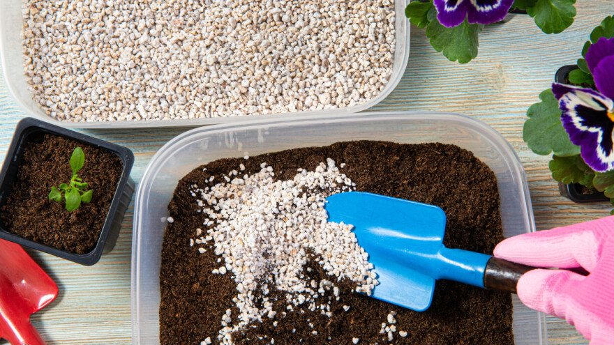 Šta je perlit i zašto je dobar za biljke?