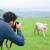 Raspisan poljoprivredni fotokonkurs! Nagrade za najbolje radove