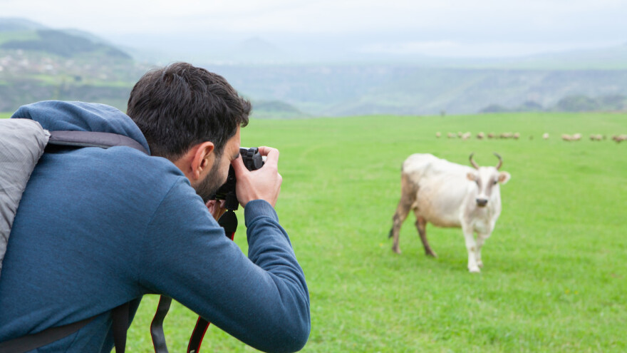 Raspisan poljoprivredni fotokonkurs! Nagrade za najbolje radove