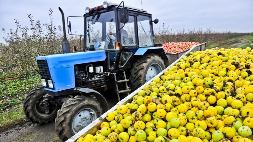 Franci Štampar: Uzgajivači jabuka u Srbiji pravite lobije sa evropskim!