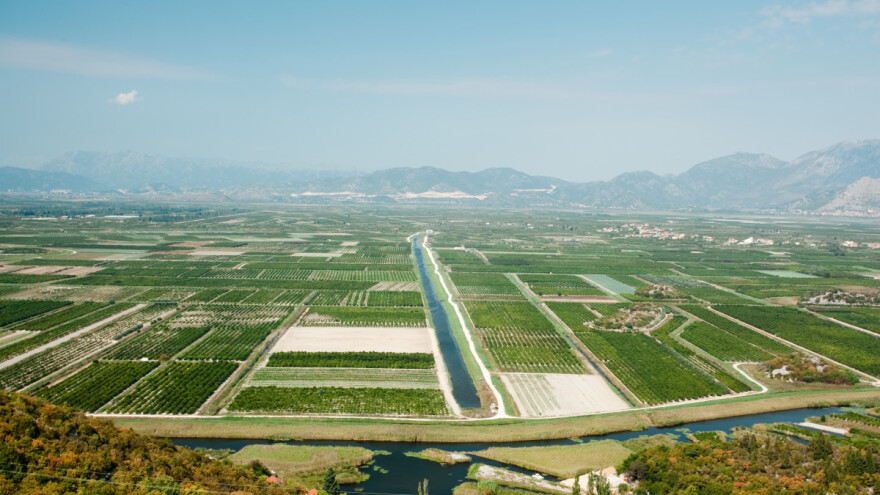 Vučković o navodnjavanju i potporama: Moramo poljoprivrednicima osigurati stabilan dohodak