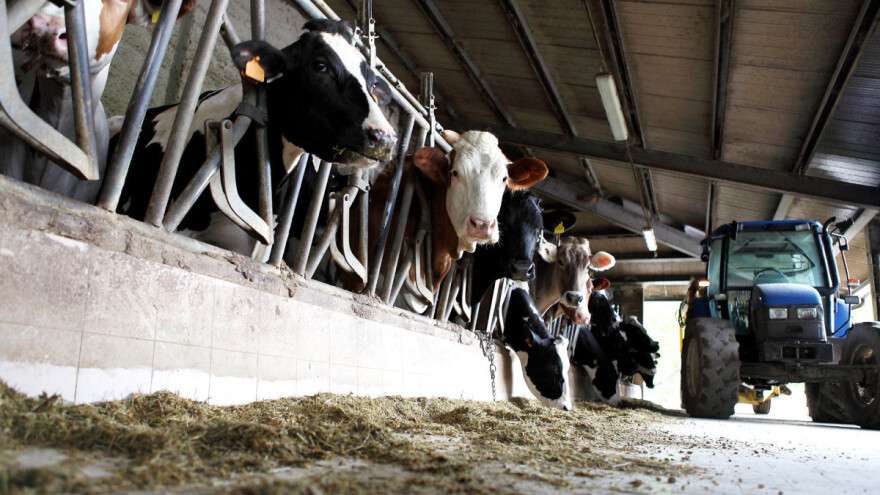 Mljekare najavile niže cijene otkupa, farmeri ne daju mlijeko jeftinije