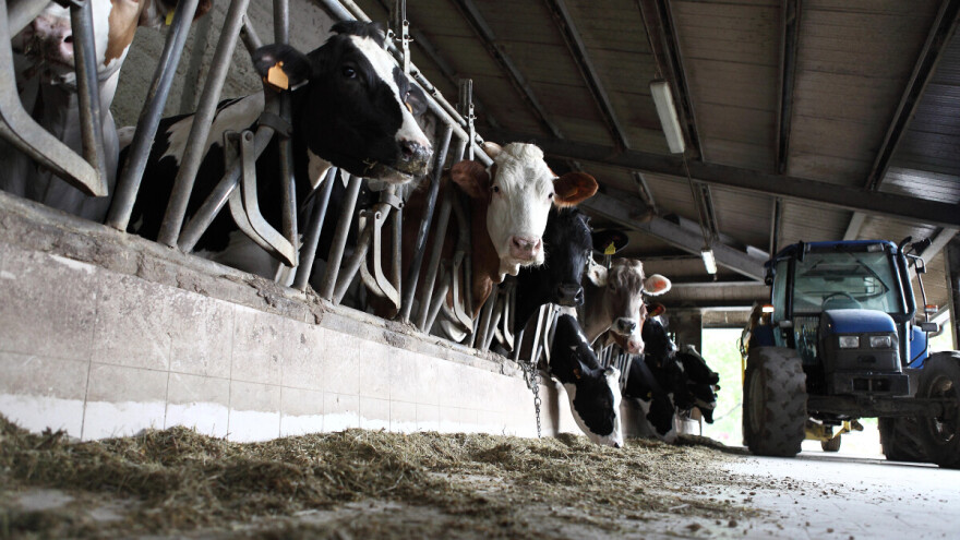 Objavljen Pravilnik za Meru 1 u okviru IPARD III programa