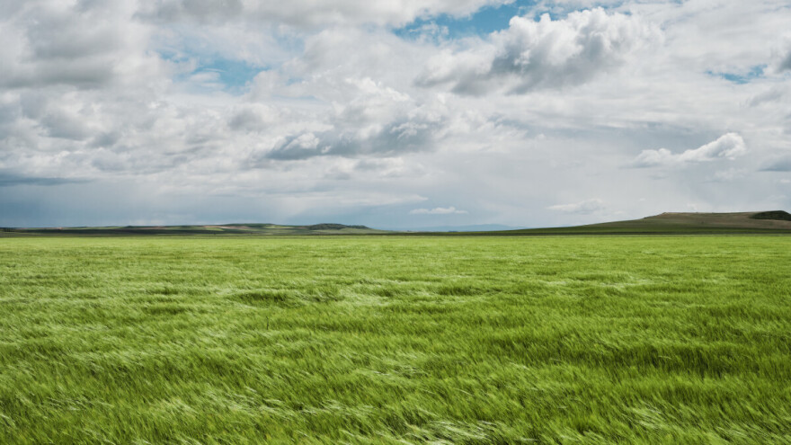 Jesu li vjetrovi izraženiji i jači nego inače i što napraviti da bismo zaštitili kulture?
