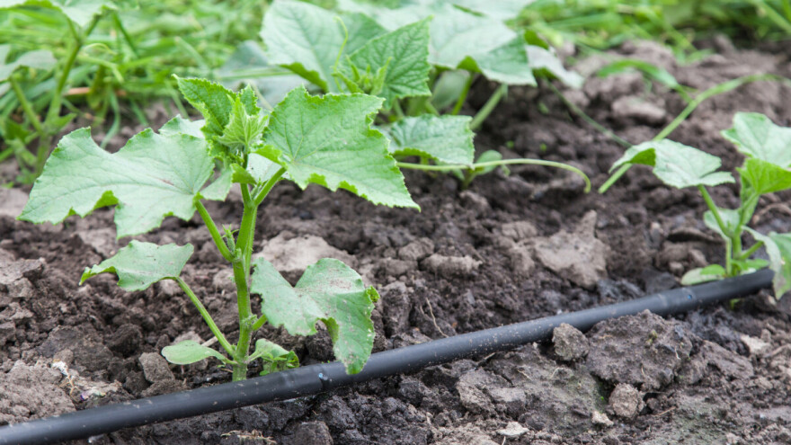 Šta uzrokuje začepljenje sustava za navodnjavanje?