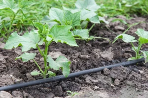 Začepljenje sistema za navodnjavanje -  koji su uzroci?