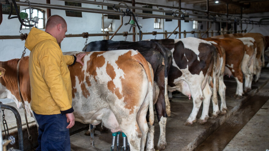 Ko u Evropi proizvodi najviše mlijeka, a ko ima najveći rast?
