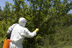 Rad s pesticidima: Moguće je produženje iskaznice bez pohađanja dopunske izobrazbe