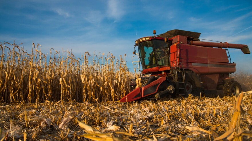 Oprezno u berbi kukuruza - kako spriječiti nesreće s beračima i kombajnima?