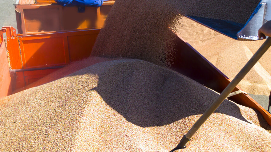 Kojih deset zemalja najviše uvozi iz Ukrajine? Jedna s prvog pala na četvrto mjesto