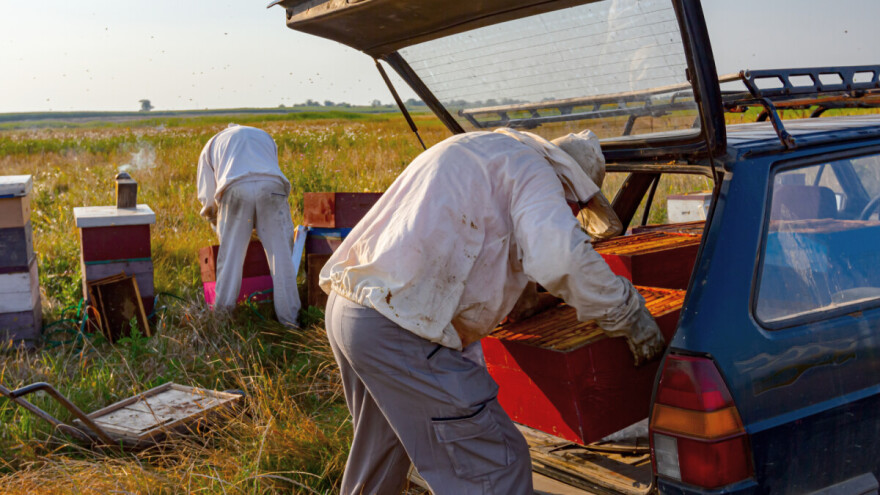 Kako do novog automobila preko natječaja iz Strateškog plana ZPP-a?