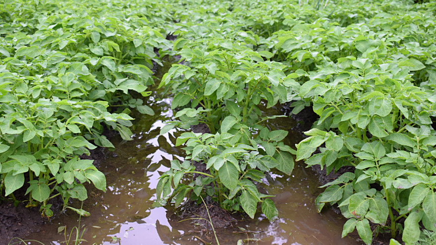 Izdvojit će 250 miliona eura za zemlje koje je pogodila suša i poplava?