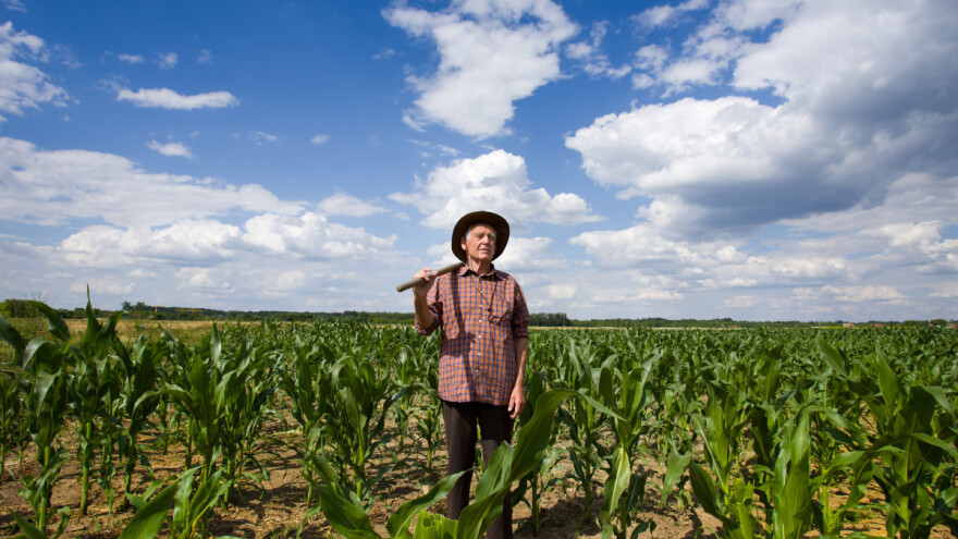 USK dobija poljoprivrednu strategiju, ministar kaže: Vrijeme za odredimo kako dalje