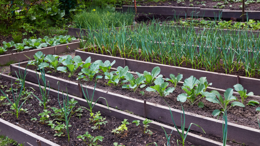 Kako napraviti uzdignutu gredicu?