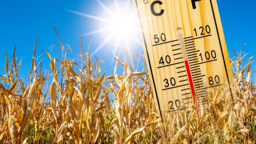 Toplotni talas u Evropi mjestimično rušio julske rekorde svih vremena