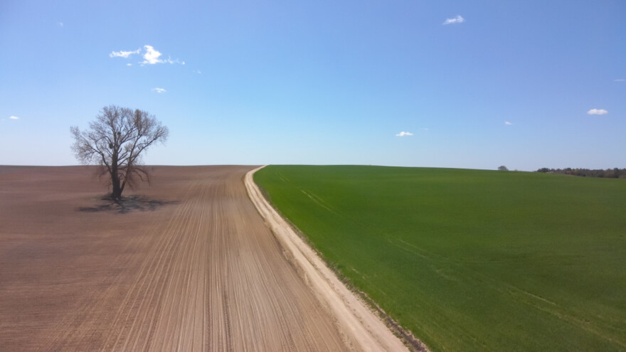 Iza nas je najtopliji januar u historiji mjerenja, natprosječno toplo i u februaru