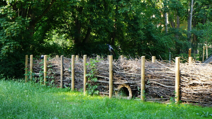 Ne palite granje, napravite jeftinu ogradu - mrtvu ogradu