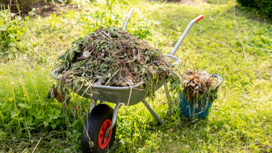 Kako pripremiti baštu na otvorenom za "zimski san"?