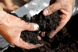 Novi opservatorij za tlo - alat više u ostvarivanju zacrtanih EU strategija