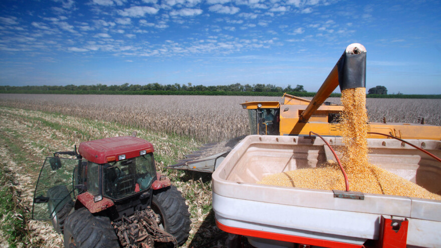 Zbog suše u Europi niži prinosi, a kasni i sjetva ozimina