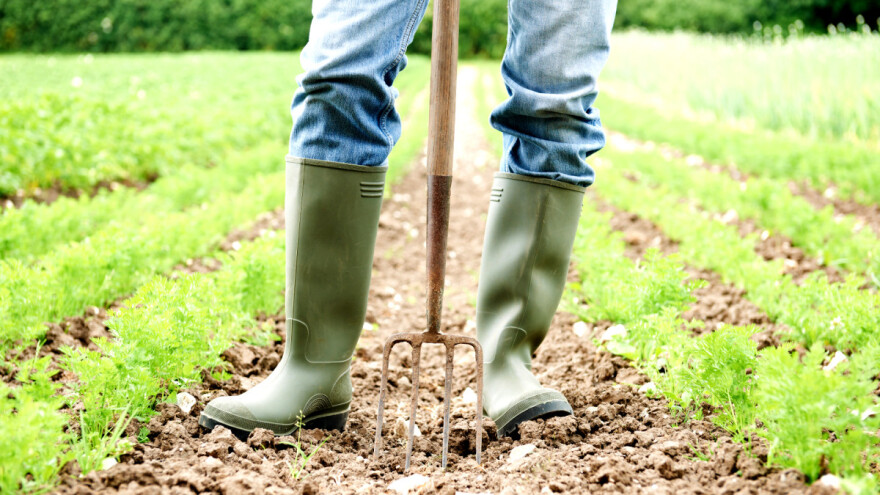 Prvi put se dodjeljuju EU nagrade za ekološku proizvodnju u sedam kategorija