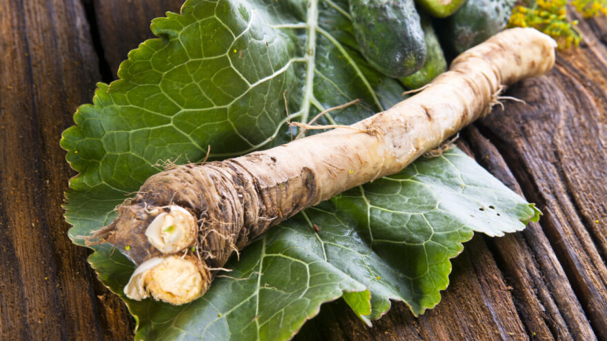 Imamo 48. proizvod zaštićenog naziva u Europskoj uniji - Ludbreški hren