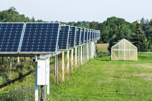 Agrosolari u Slavoniji - koje kulture imaju najveći potencijal?