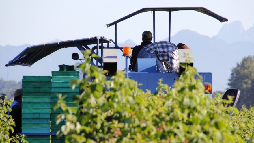 Kreću prosvjedi i u BiH? Proizvođači malina najavili blokade