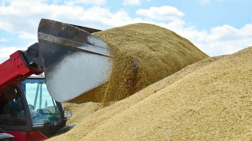 Srbija zvanično odobrila izvoz žitarica u Sjevernu Makedoniju, BiH na čekanju