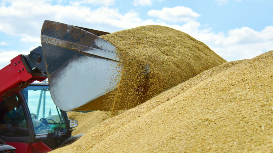 EU nije žitnica nego globalna trgovina mješovitom robom koja jede svijet