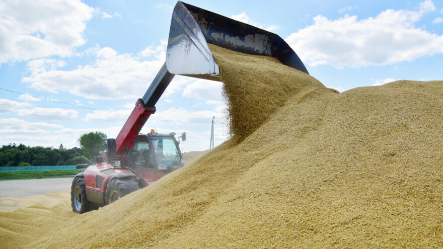 Evropski izvoz žitarica u padu: Izvezeno 11 miliona tona pšenice manje nego lani