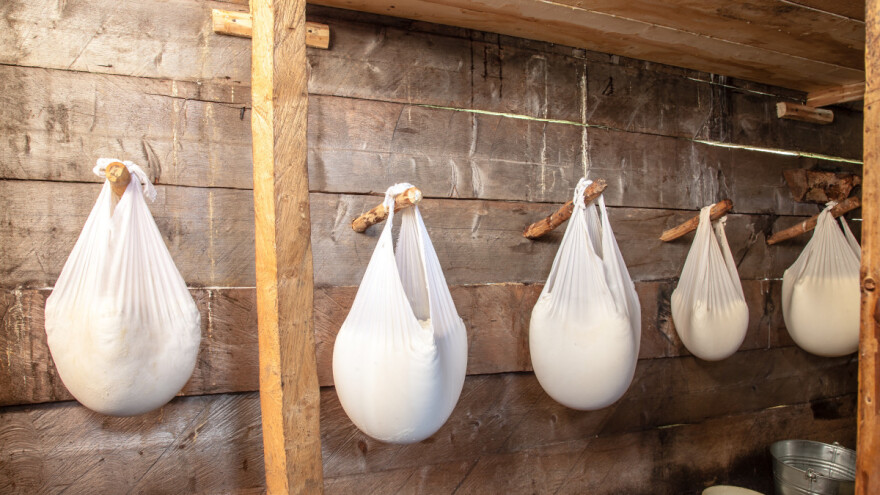 FAZ i ove godine ocjenjuje tradicionalne kozije i ovčij sireve