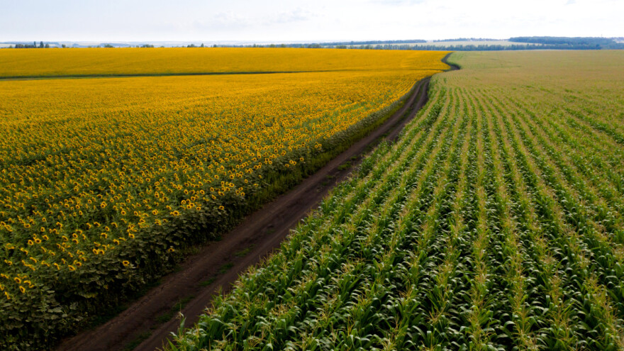 Kakve prinose ratarskih kultura mogu očekivati u EU?
