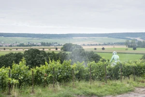 Počelo istraživanje utjecaja pesticida na ruralno stanovništvo u Francuskoj