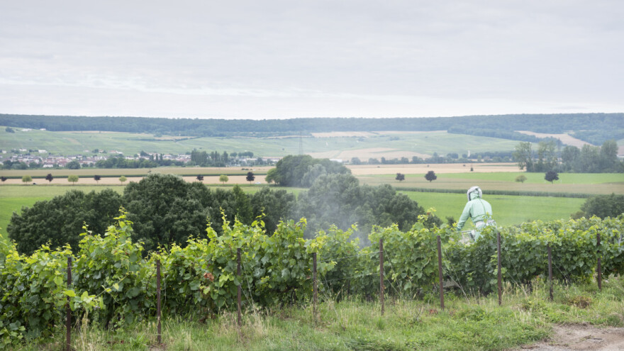 Počelo istraživanje utjecaja pesticida na ruralno stanovništvo u Francuskoj