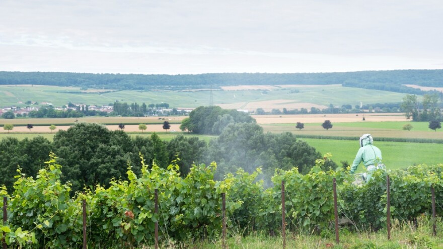 Provjerite račune: Isplaćeno je skoro pola miliona poticaja u RS