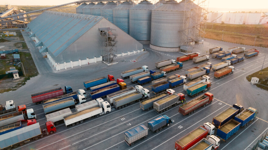 Pala cijena pšenice i kukuruza - Poljska protestuje, a Slovačka uvodi zabrane