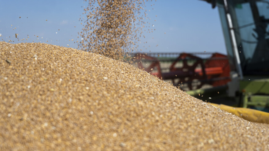 Turska drastično povećala izvoz durum pšenice, evo zašto