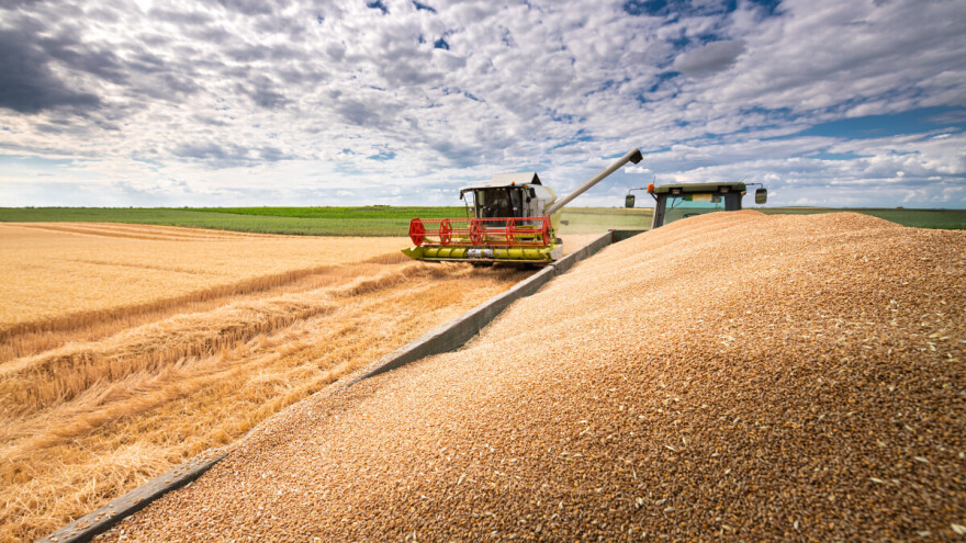 TOP 10 svjetskih proizvođača pšenice