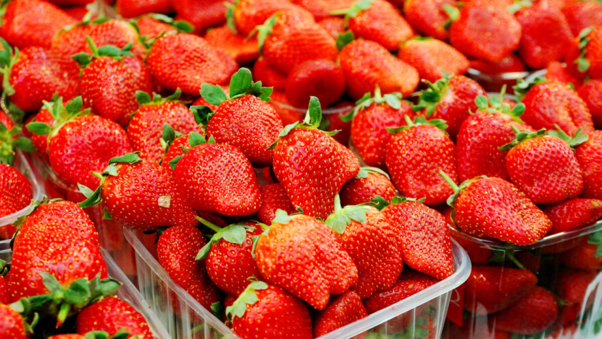 Zbog čega jagode nemaju ukus i miris?